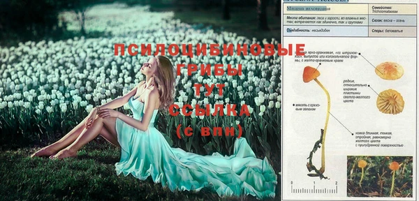 apvp Бронницы